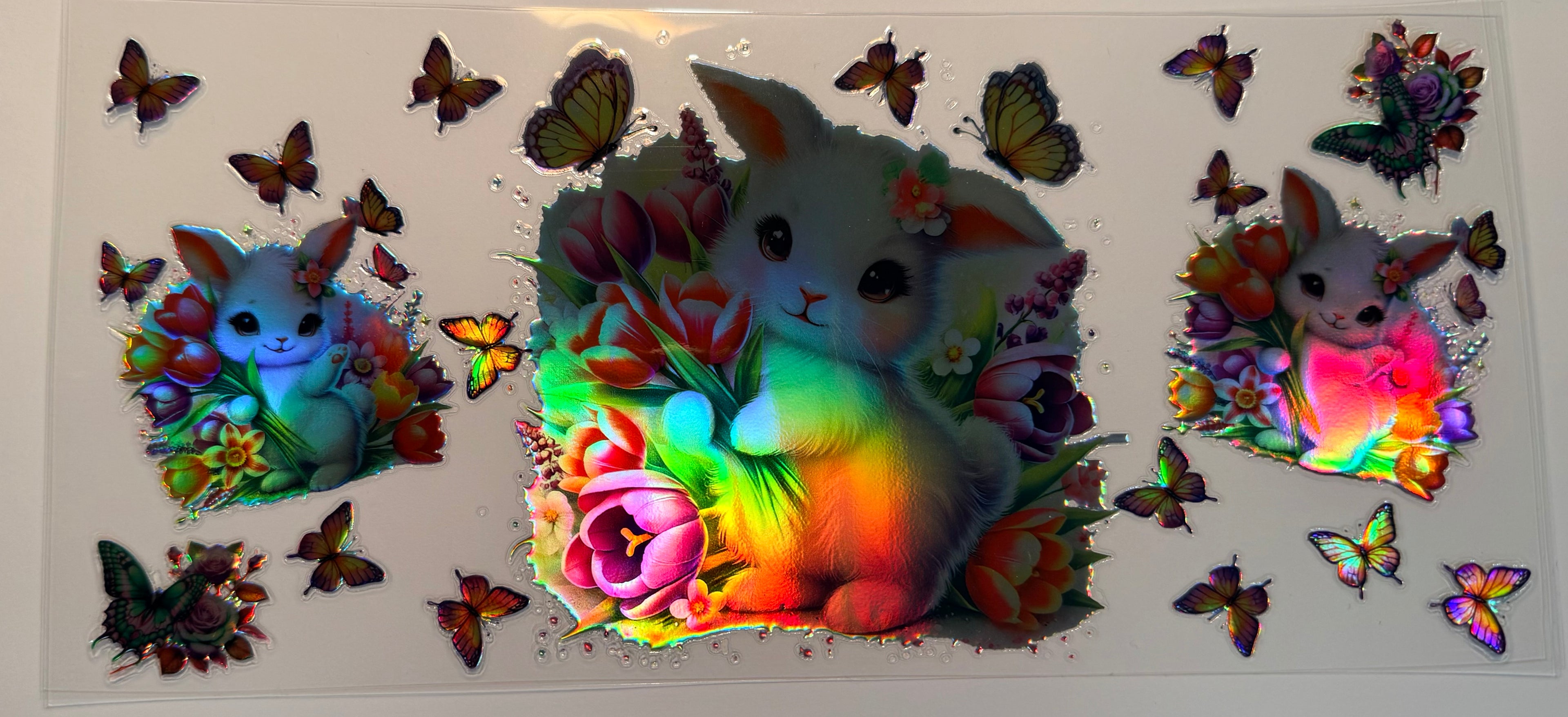 Animals