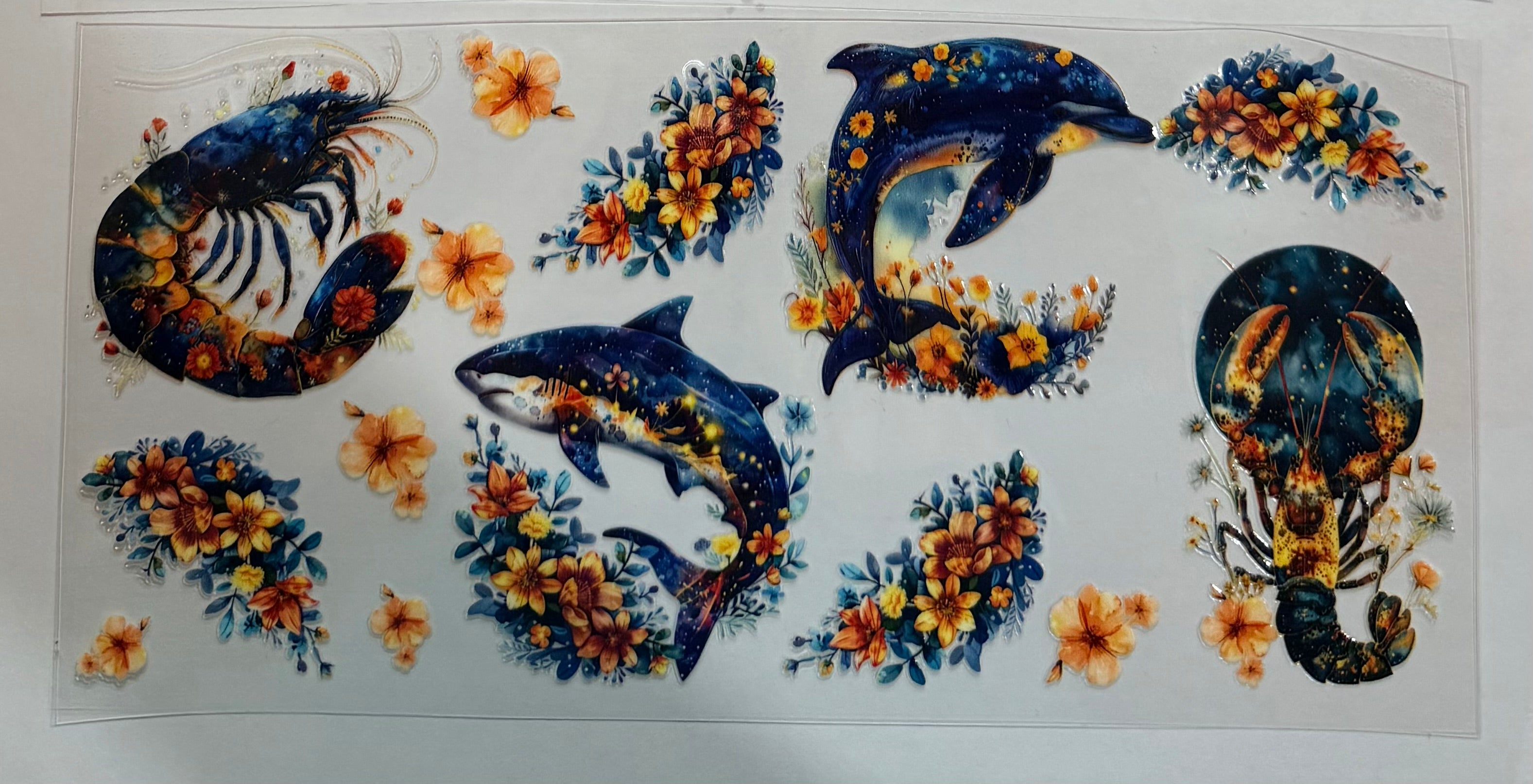 Ocean