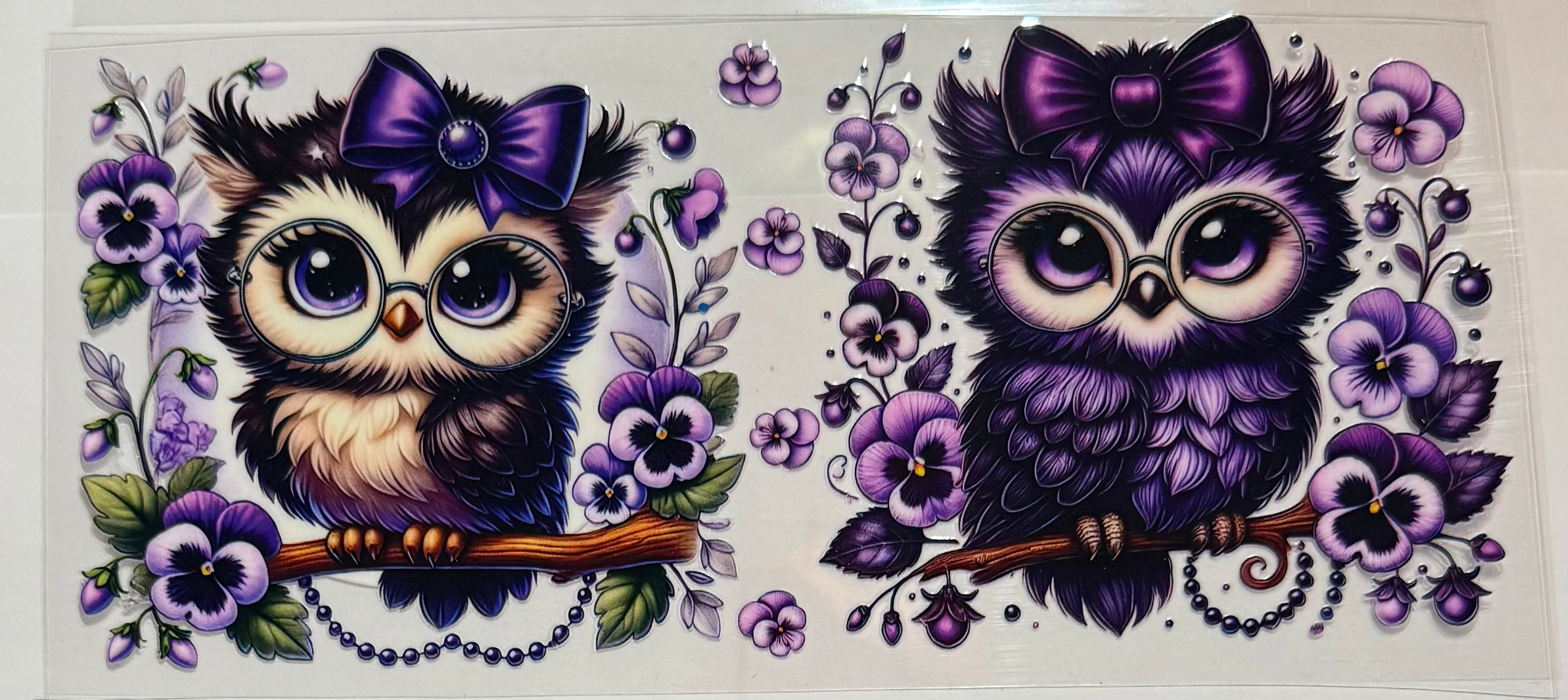 Animals