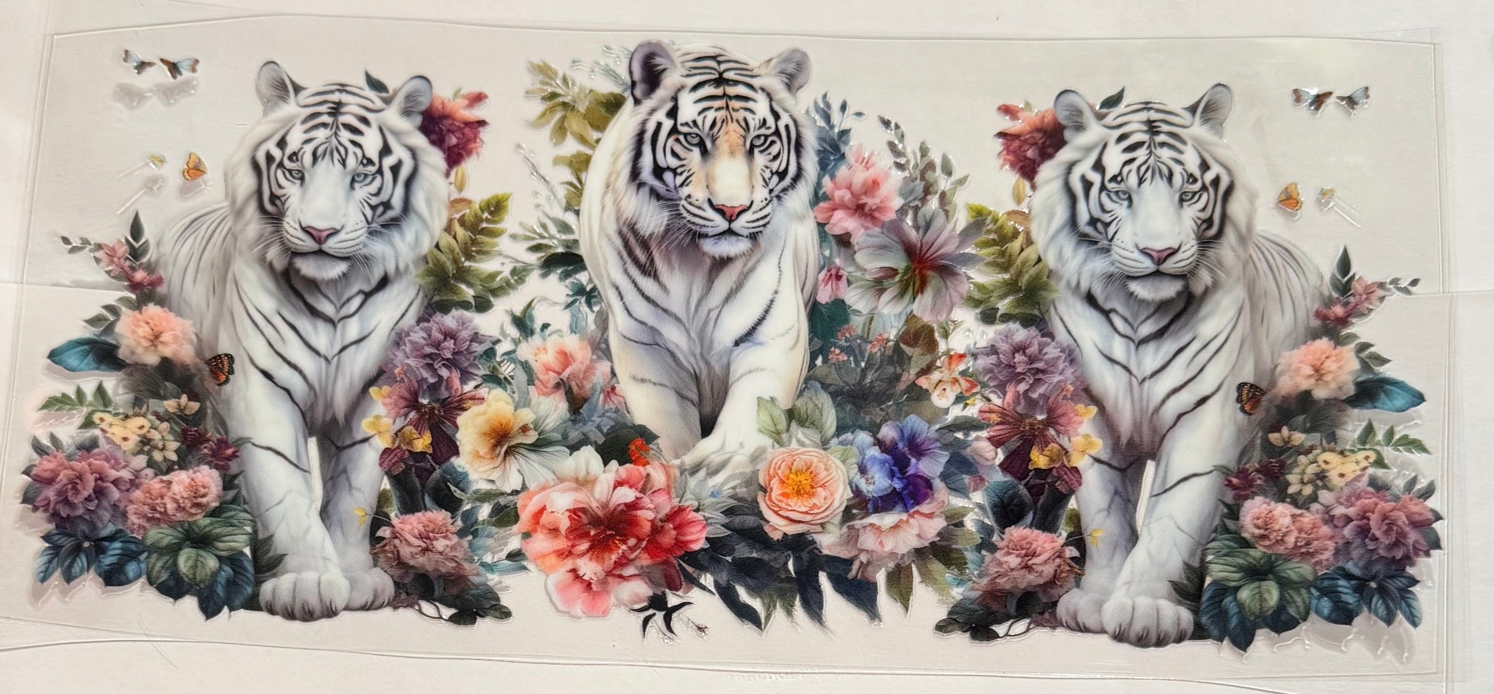 Animals