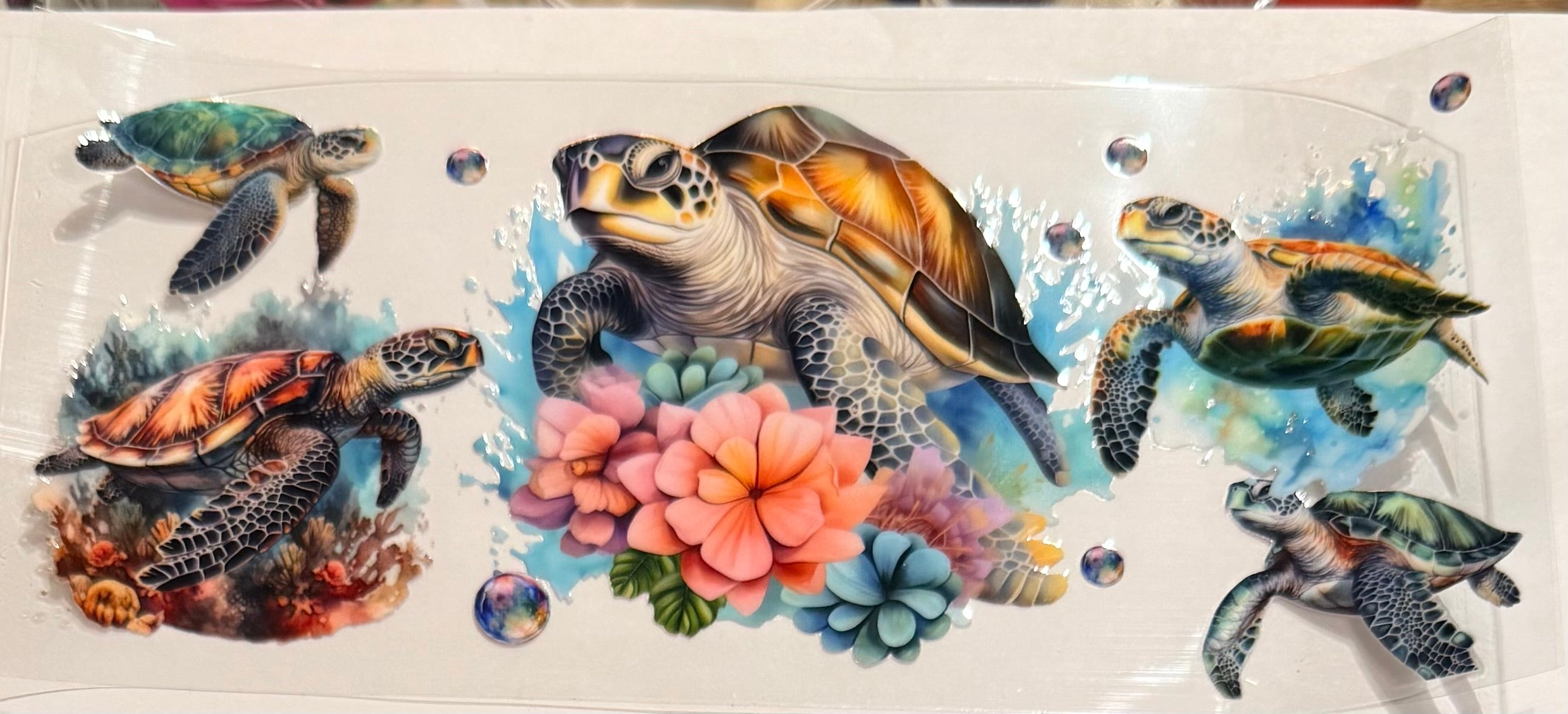 Ocean