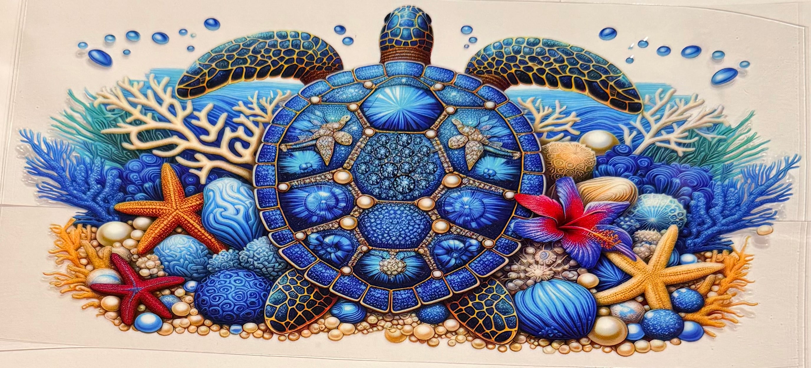 Ocean