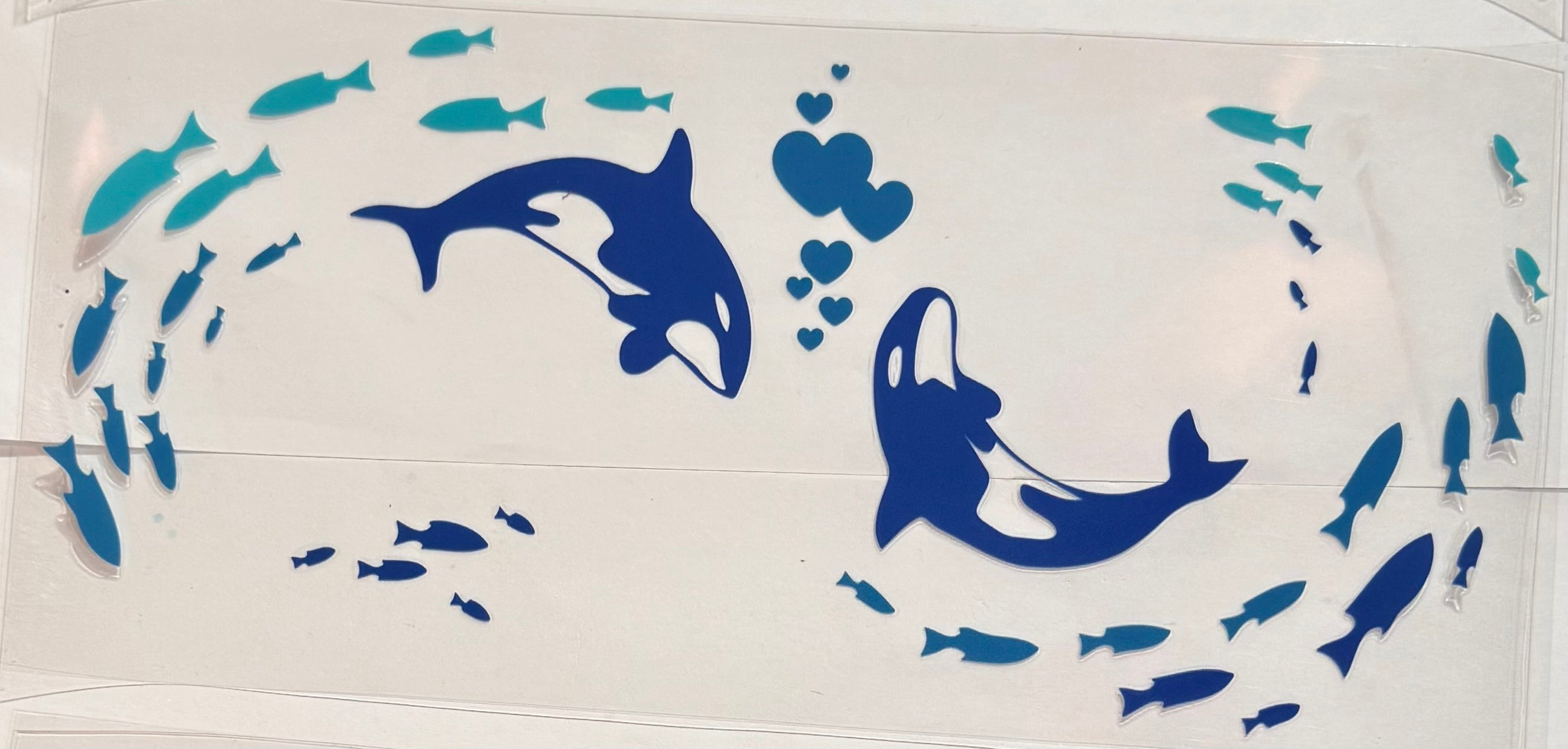 Ocean