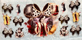 Cartoon Disney Cruella