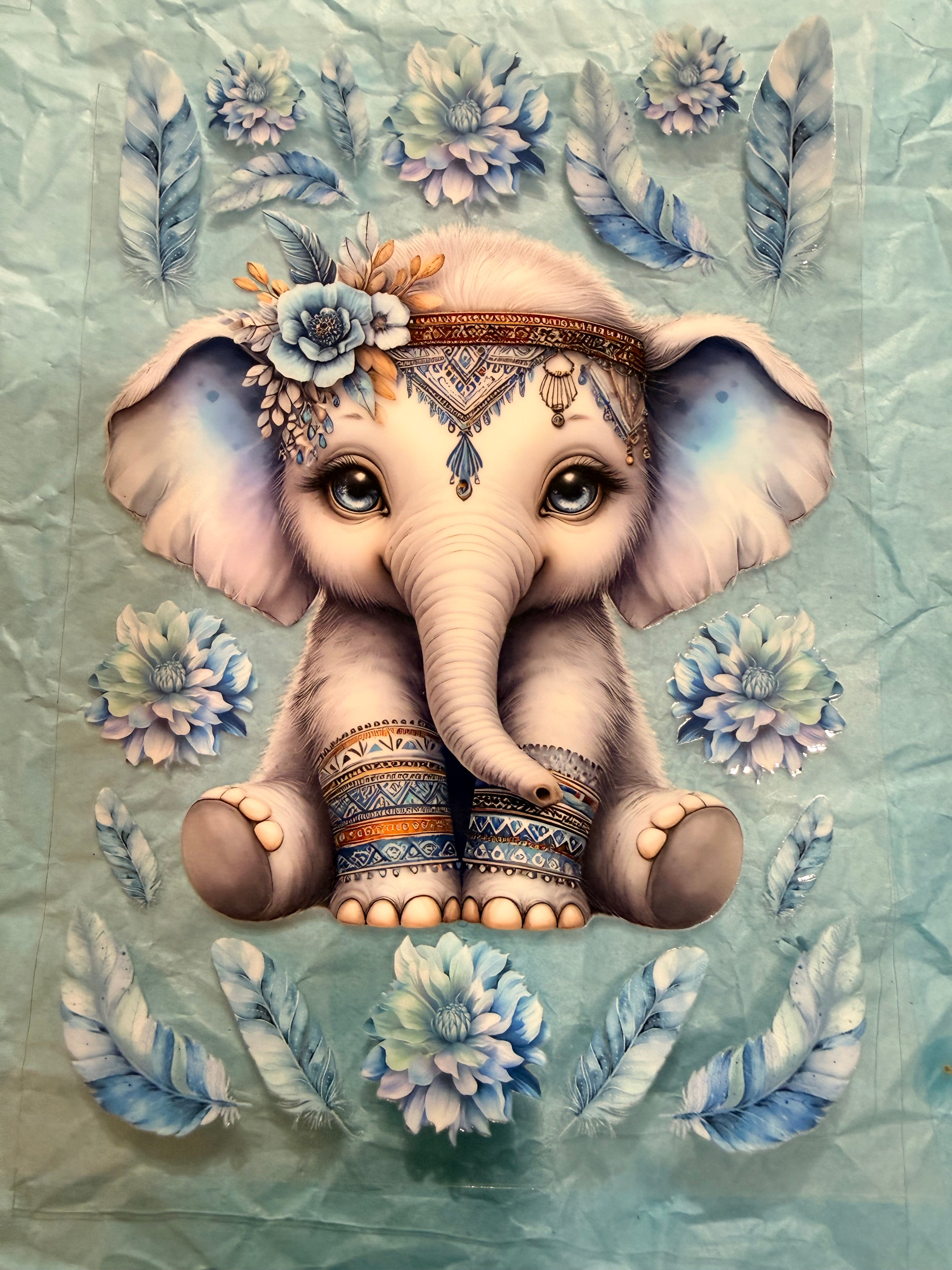 Animals Elephant