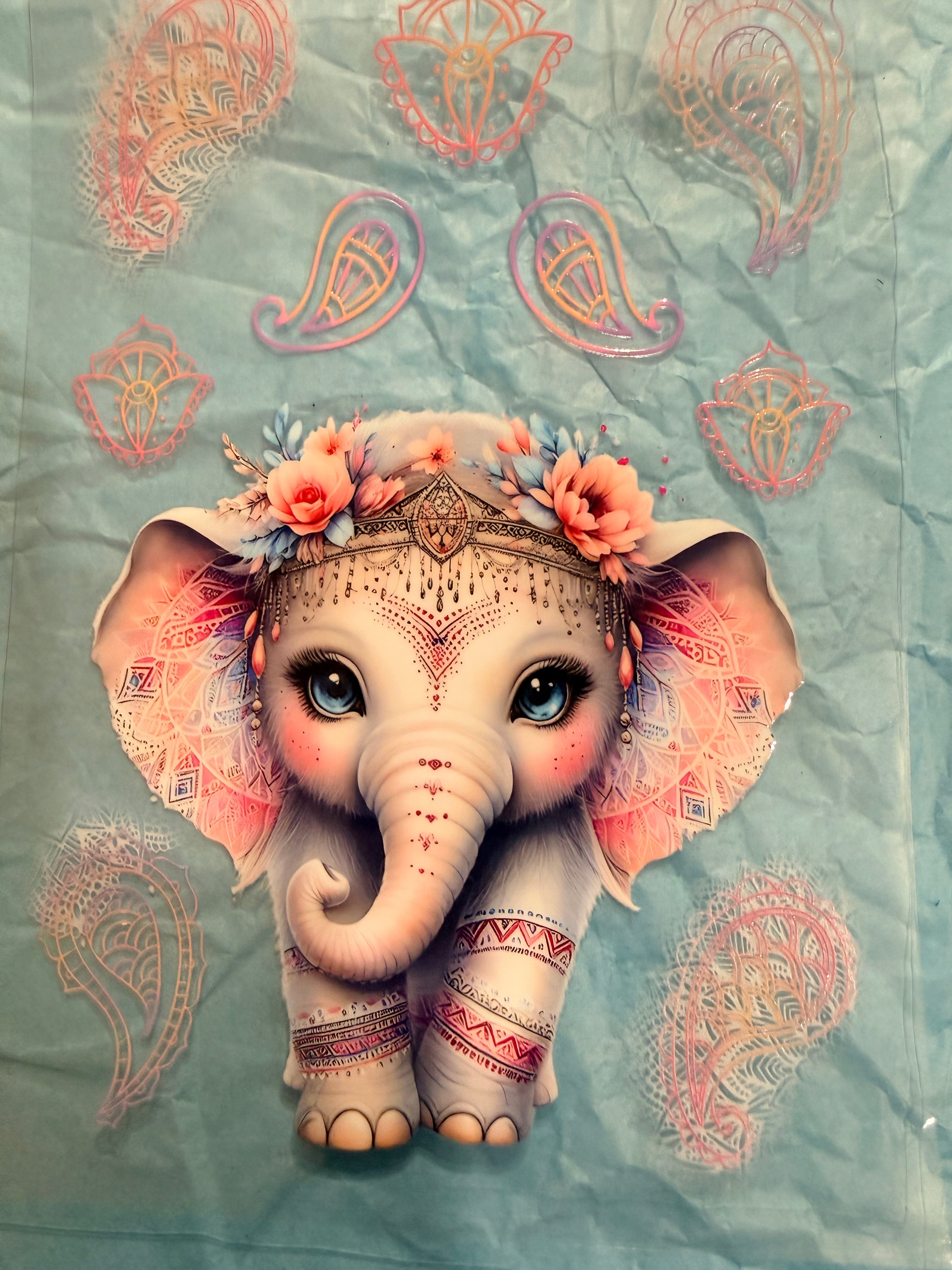 Animals Elephant