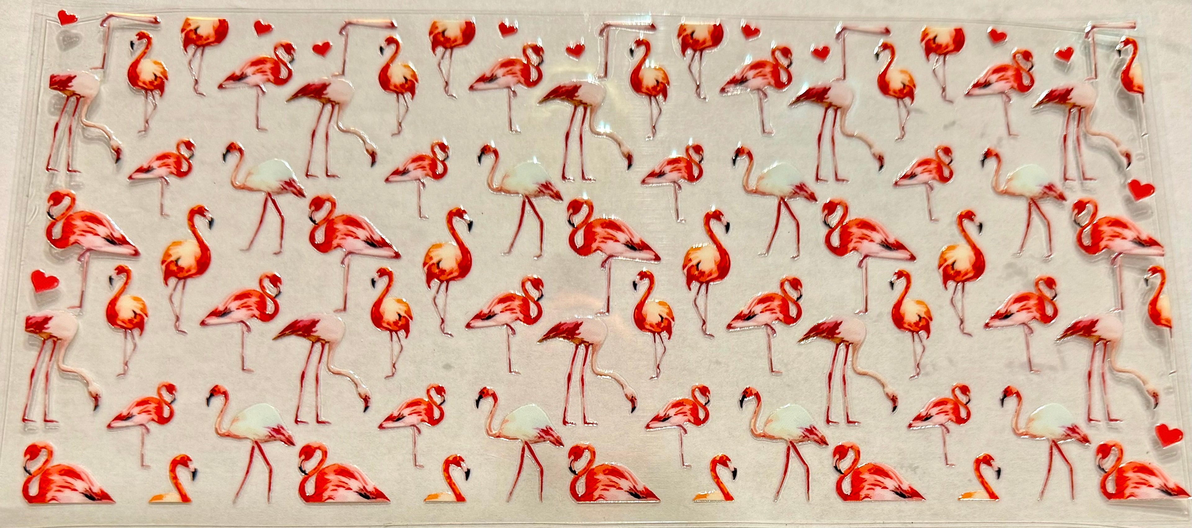 Animals