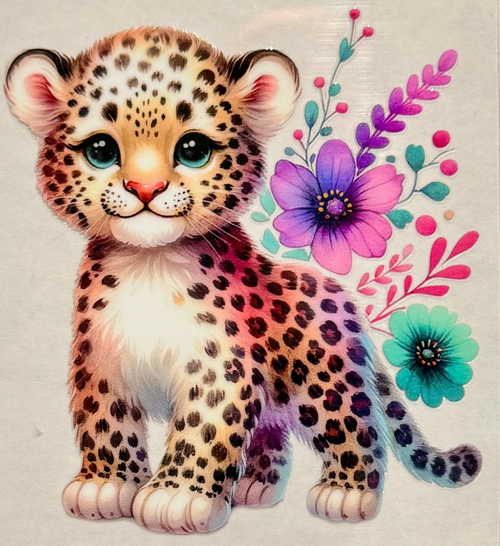 Animals