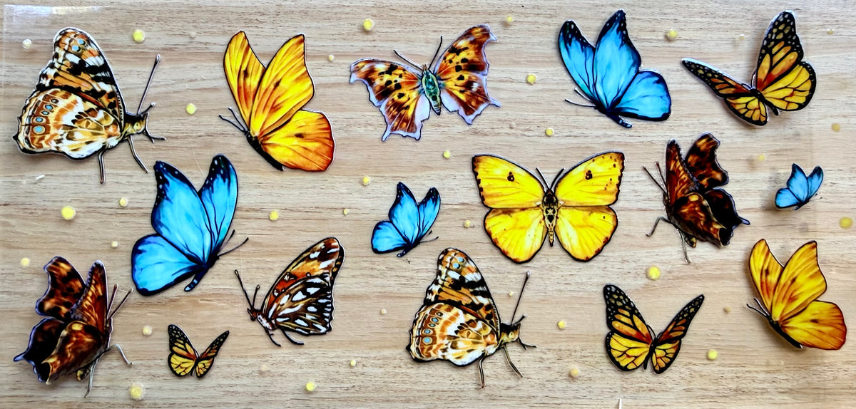 Butterflies